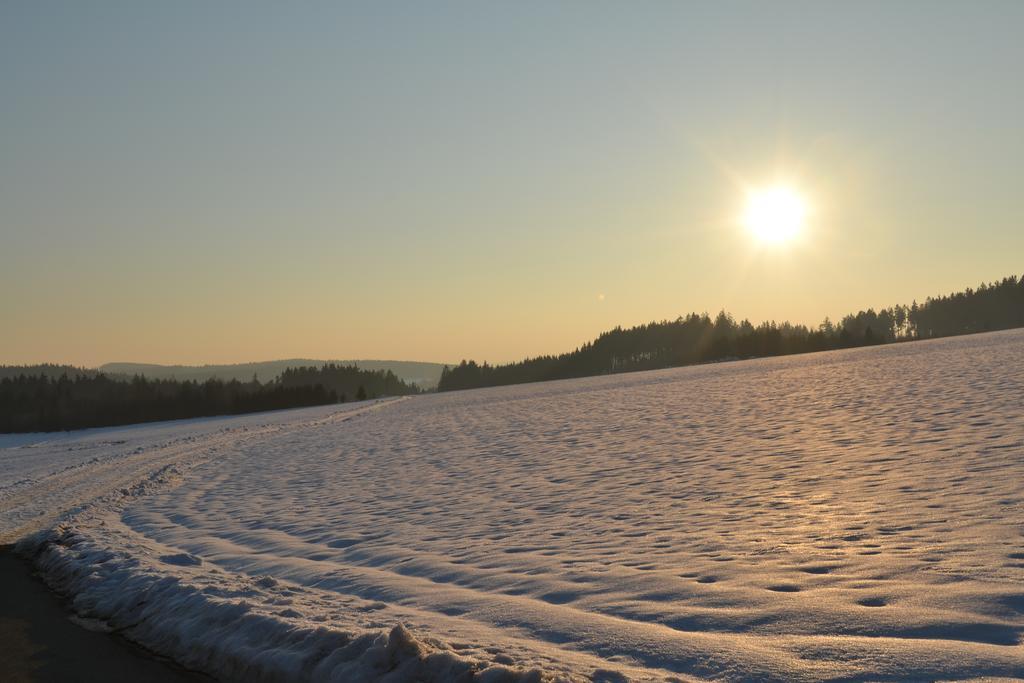 Hotel Gasthof-Pension Leupold Selbitz Esterno foto